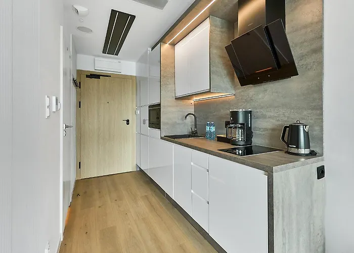 Baltic Infinity 아파트 미엥지즈드로예